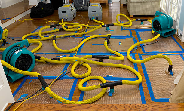 Professional Sewage Cleanup technician working in Brisbane, CA